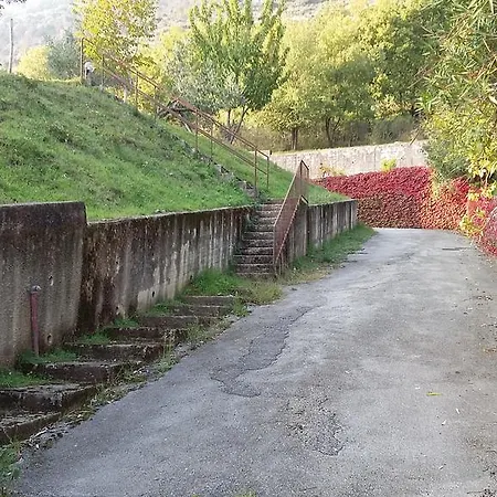 Dell'olmo * San Cipriano Picentino